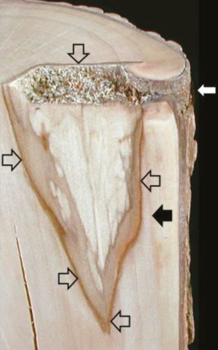 Fig 1.