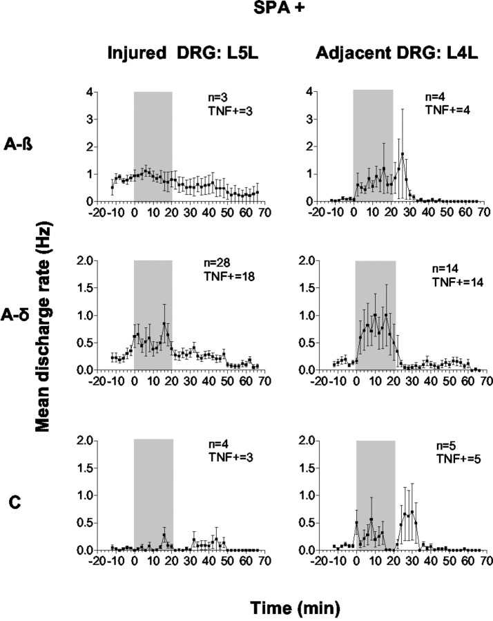 Fig. 9.