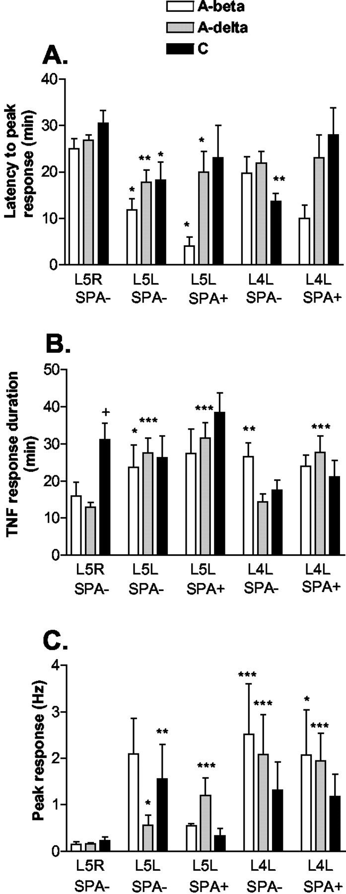 Fig. 10.