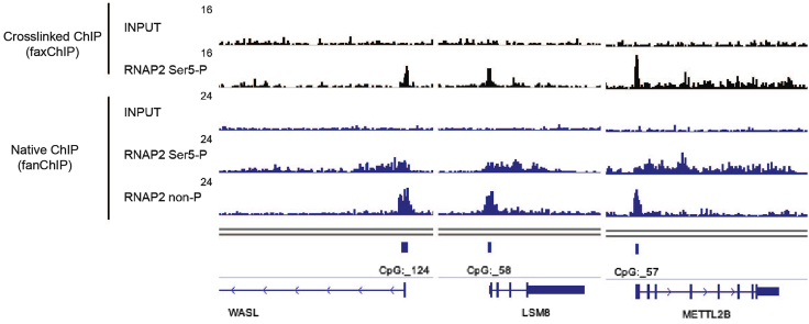 Figure 6