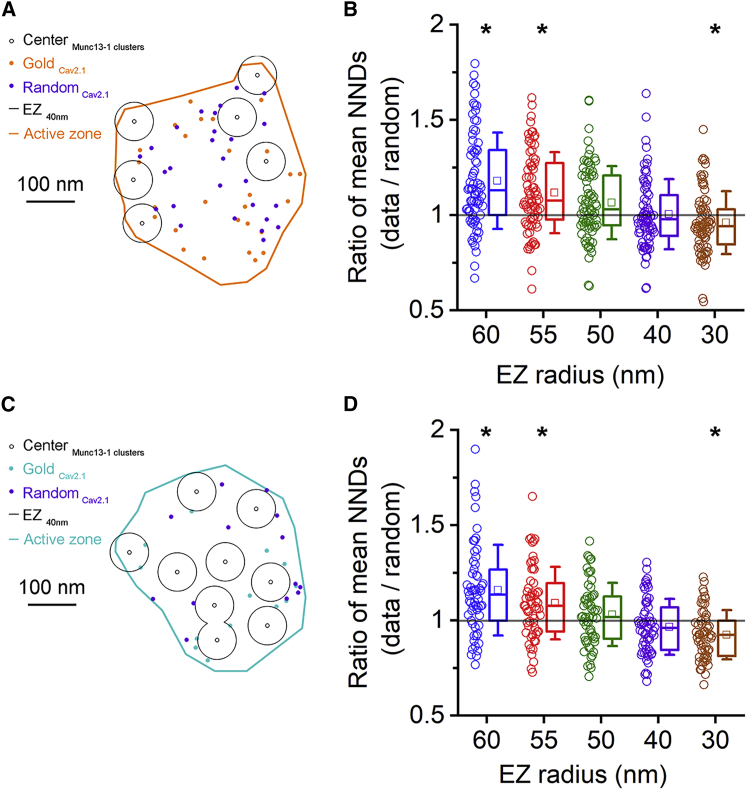 Figure 4