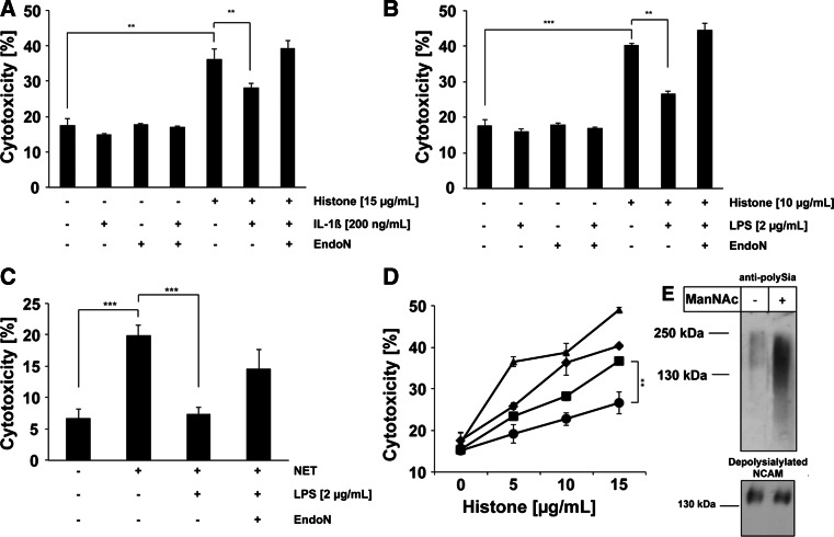 Fig. 7