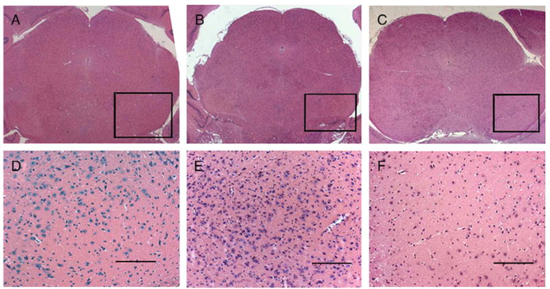 Fig. 11