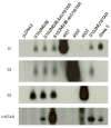 FIG. 7