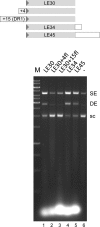 Figure 5.