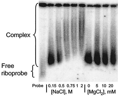 FIG. 5