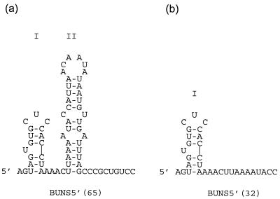 FIG. 9