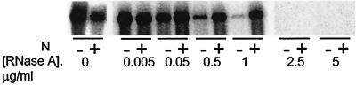 FIG. 6