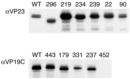 FIG. 6.