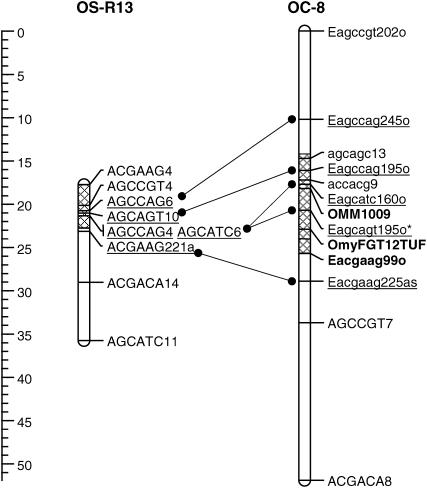 Figure 6.—