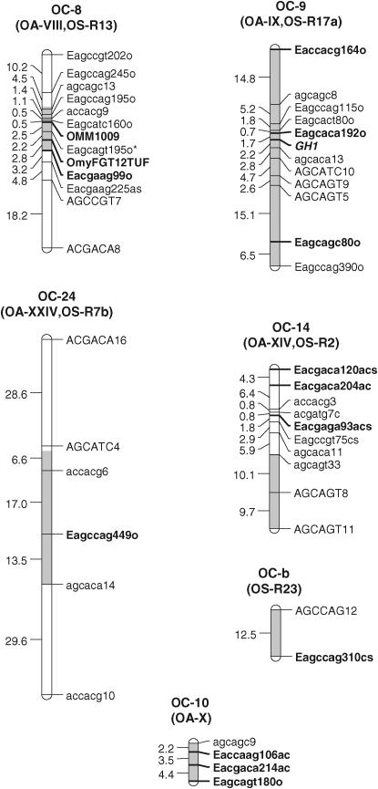 Figure 1.—