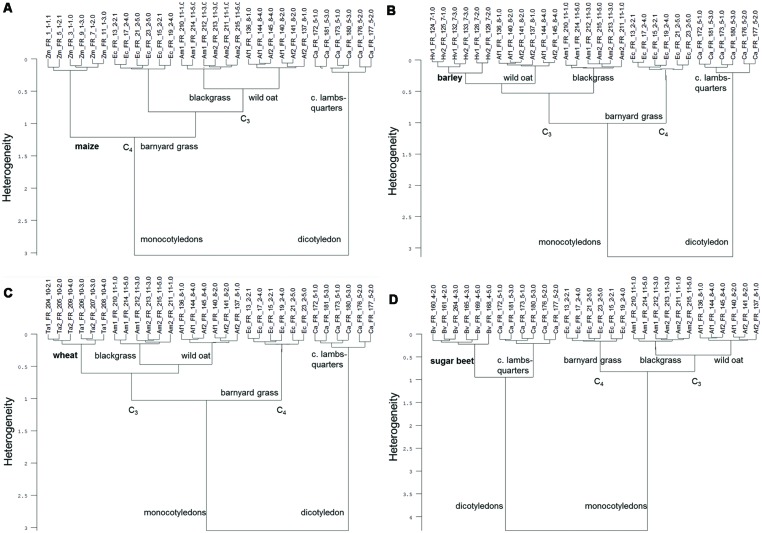 FIGURE 4