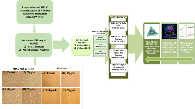 graphic file with name 40203_2023_184_Figa_HTML.jpg