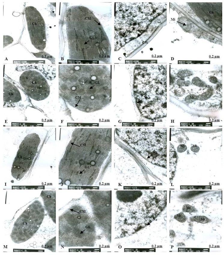 Fig 10