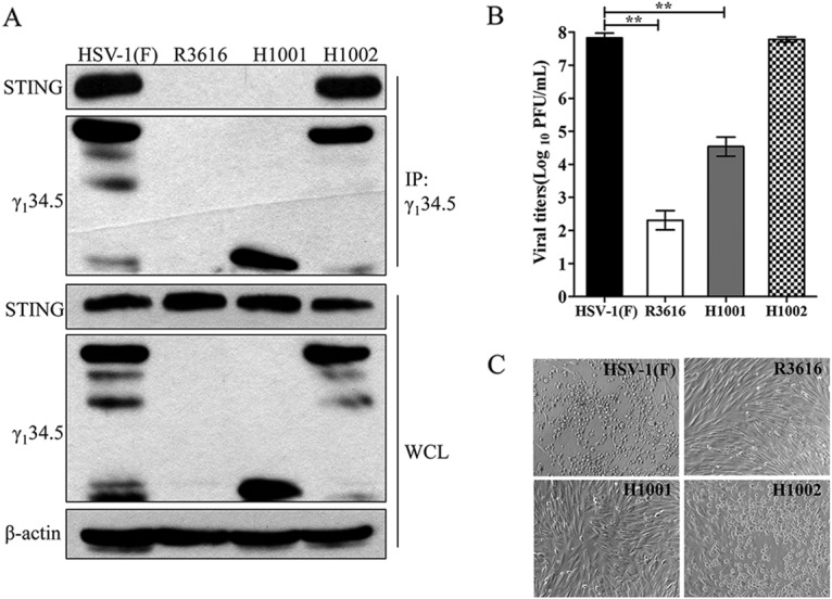 FIG 3