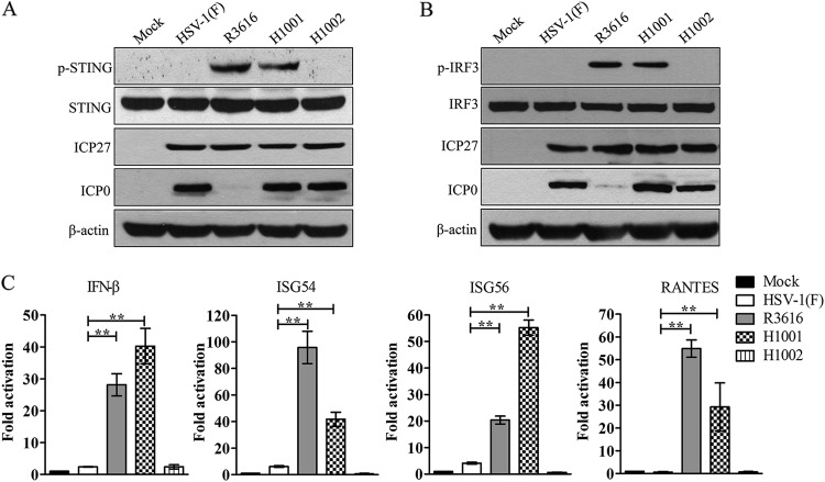 FIG 2