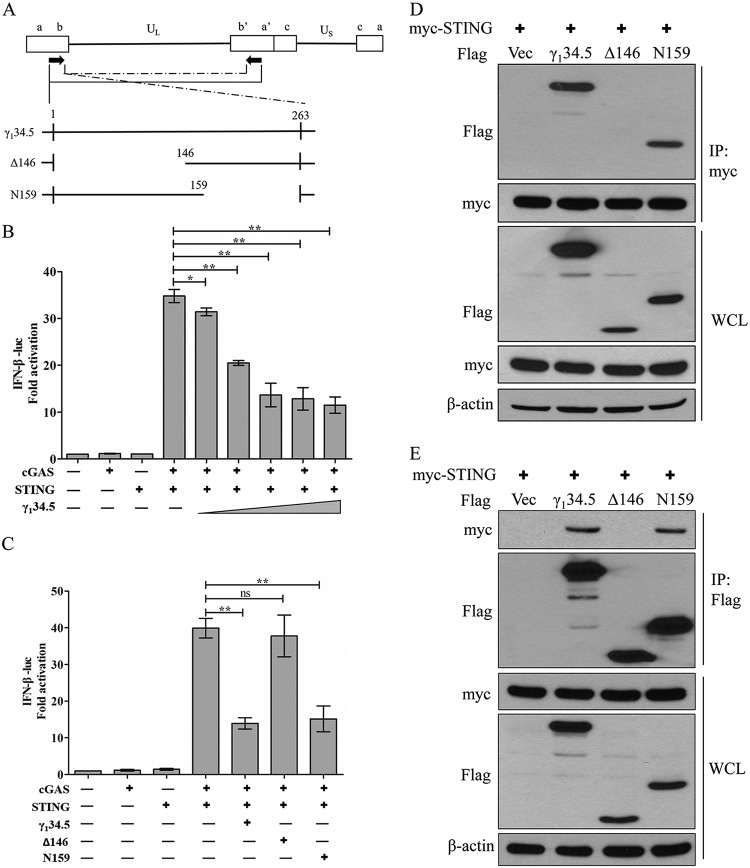 FIG 1