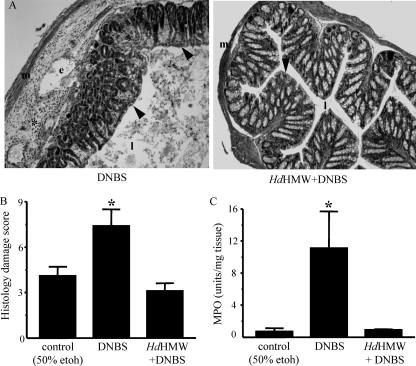 FIG. 9.