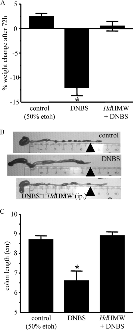 FIG. 7.