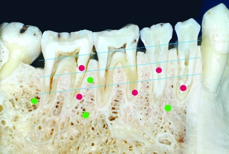 Figure 19