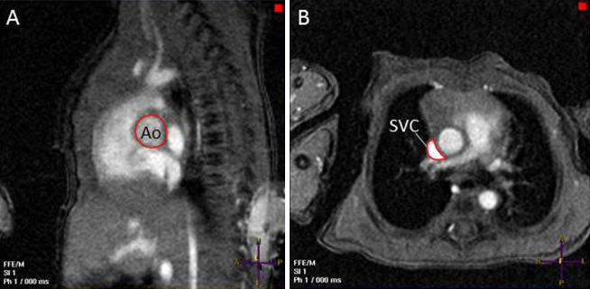 Figure 3