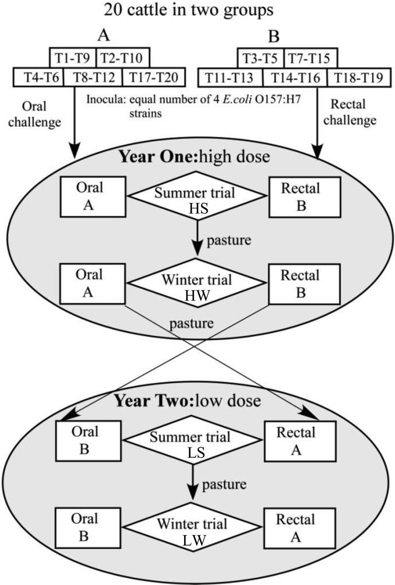 FIG 1