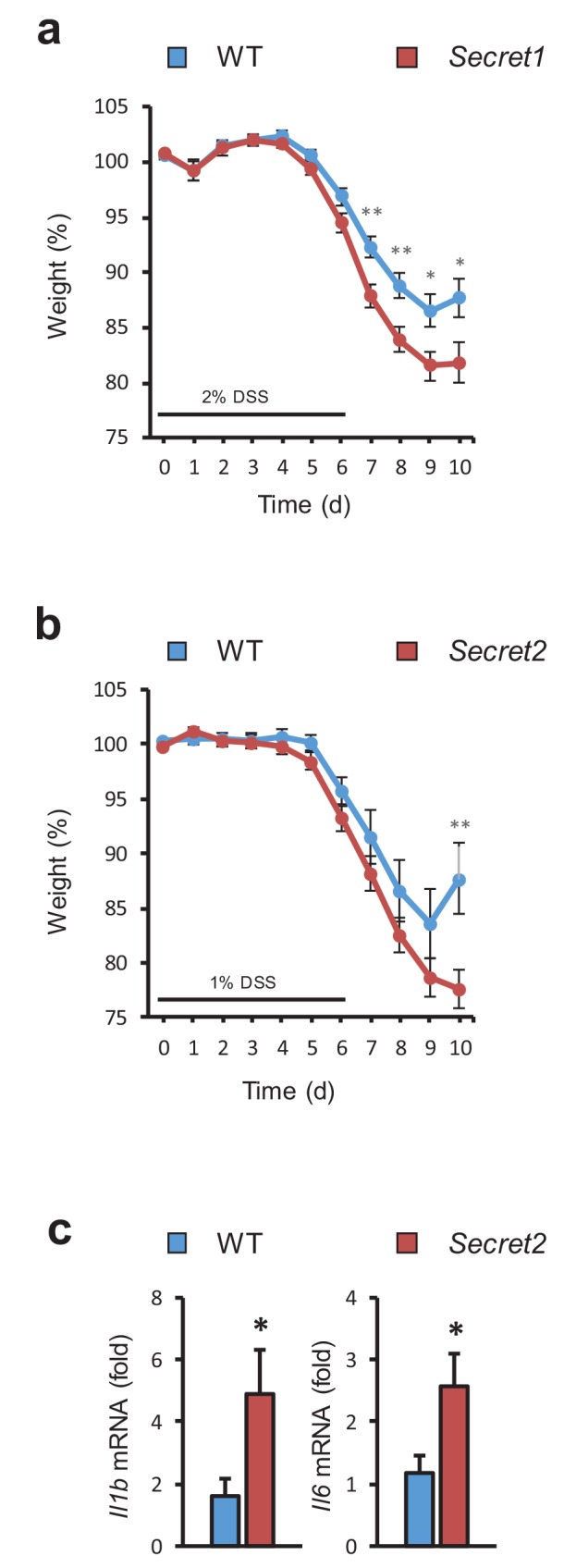 Figure 5—figure supplement 1.