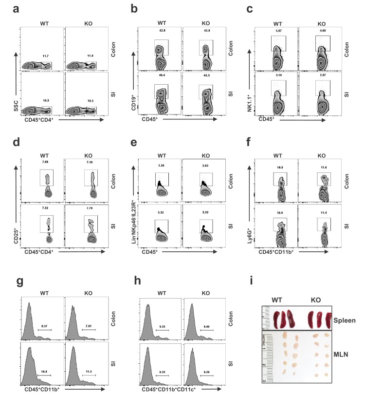 Figure 5—figure supplement 2.