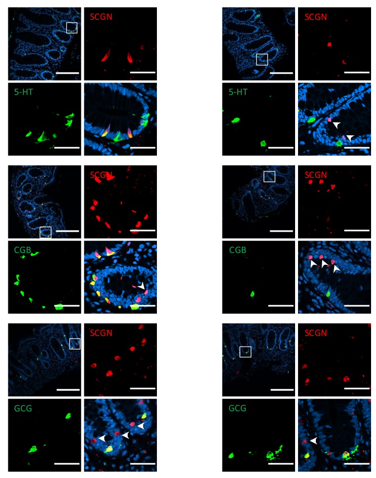 Figure 2—figure supplement 2.