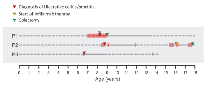 Figure 1—figure supplement 1.