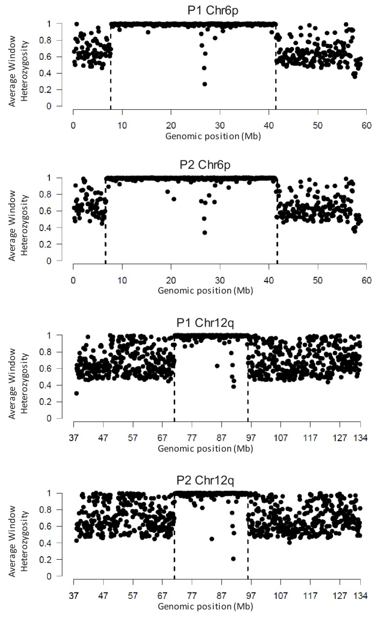 Figure 1—figure supplement 2.