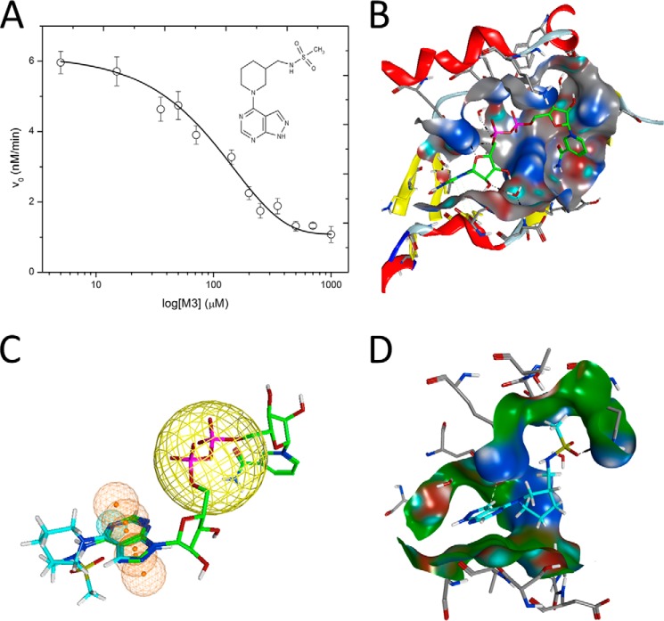 FIGURE 5.