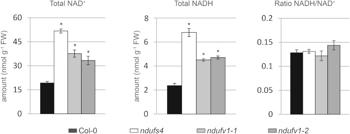 Figure 5.