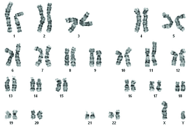 [Table/Fig-4]: