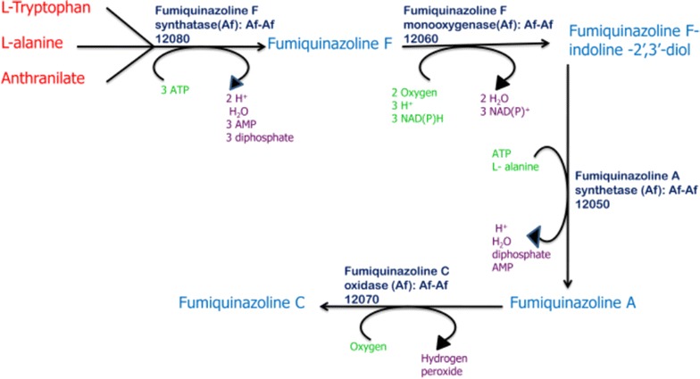 Fig. 1