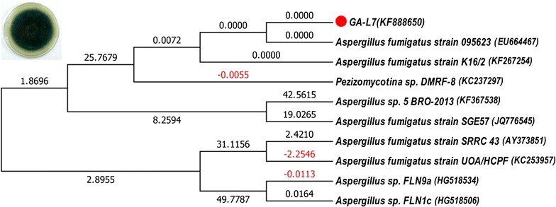 Fig. 2