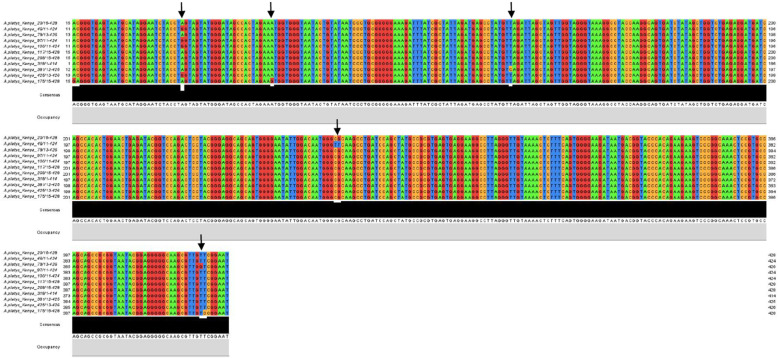 Fig. 2