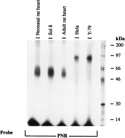FIG. 10
