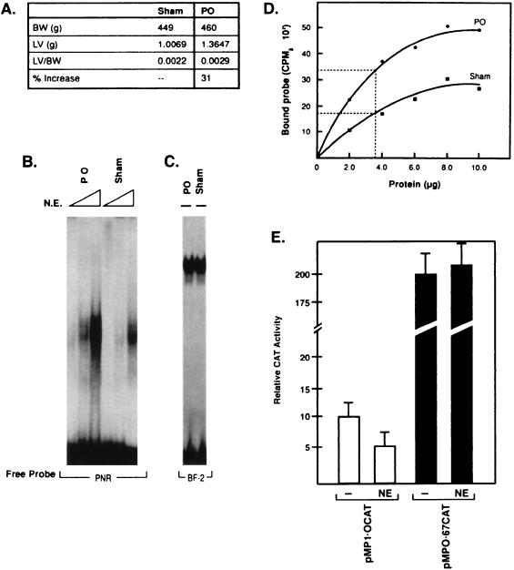 FIG. 11