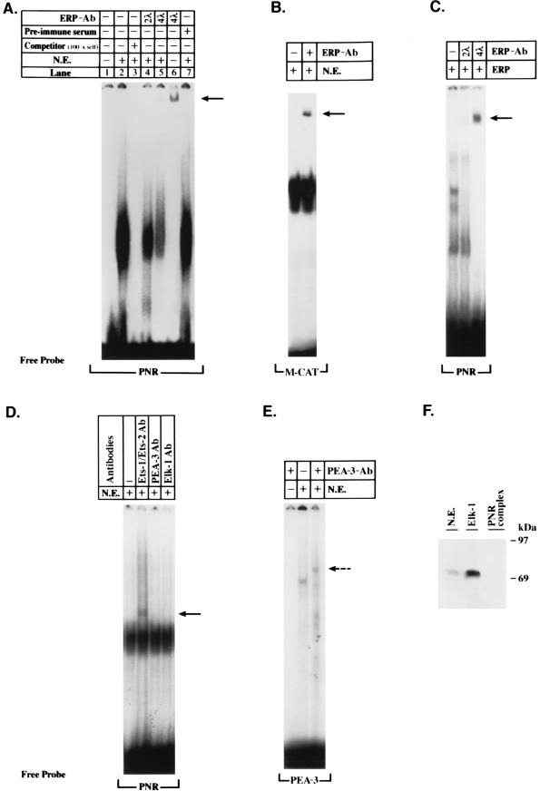 FIG. 9