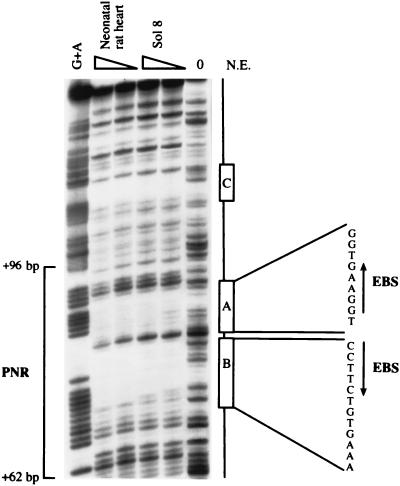 FIG. 7