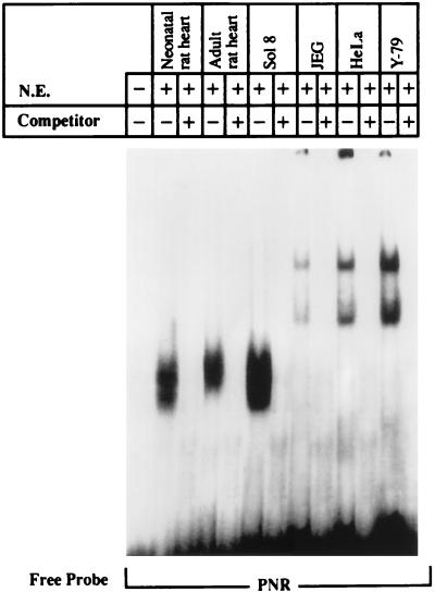 FIG. 5