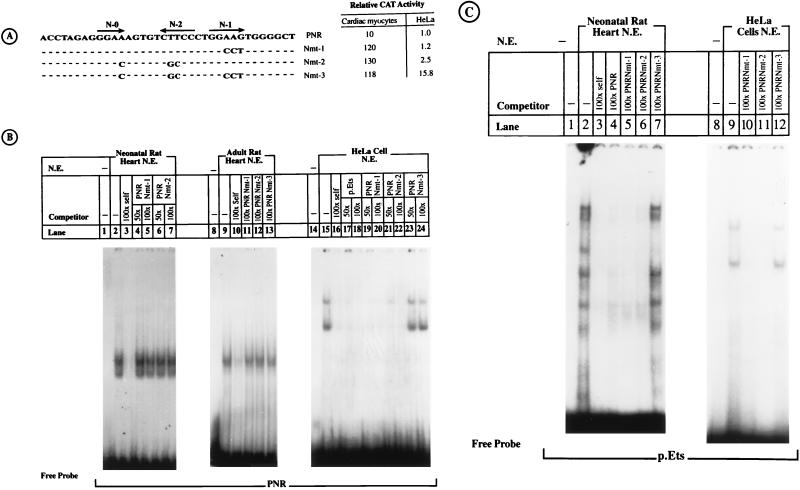 FIG. 8