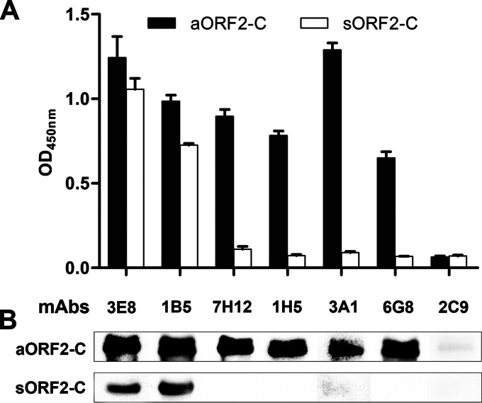 FIG 1