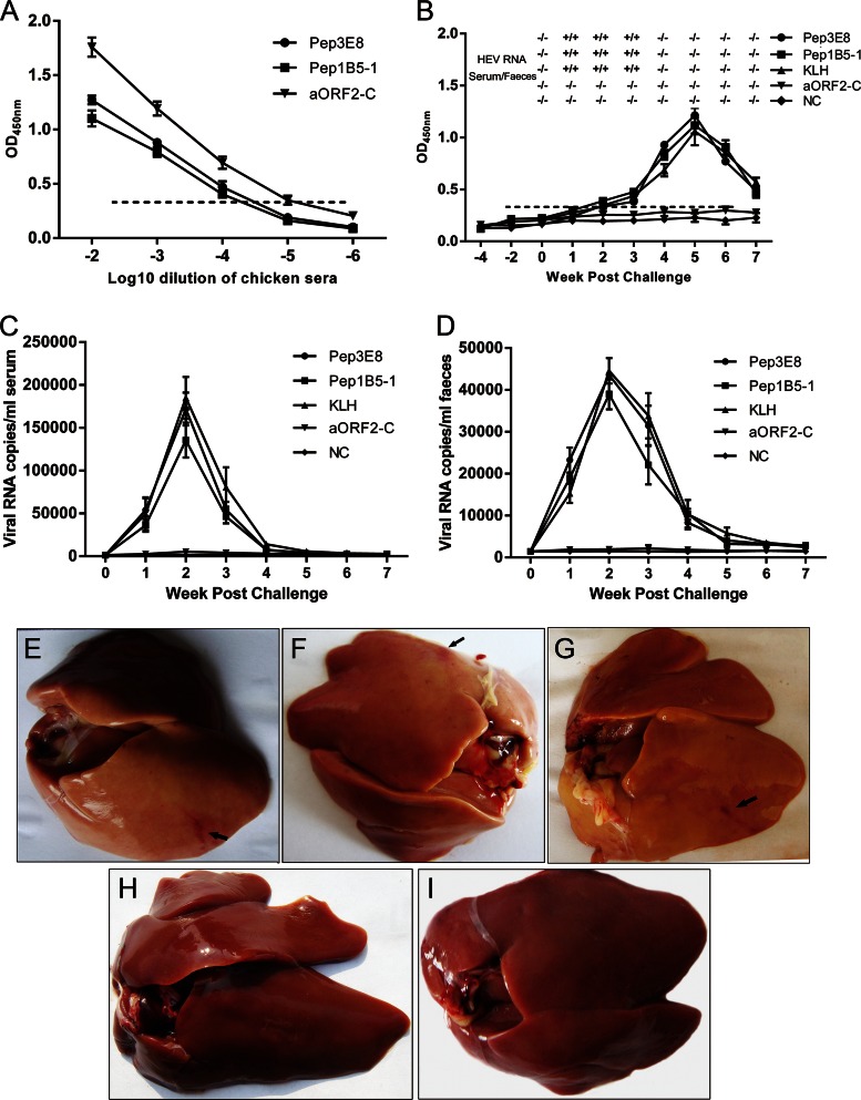 FIG 6