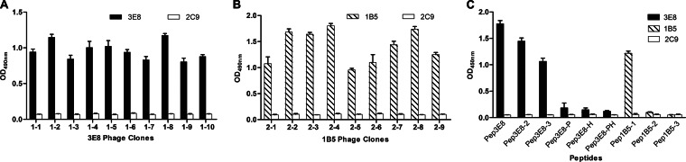 FIG 2