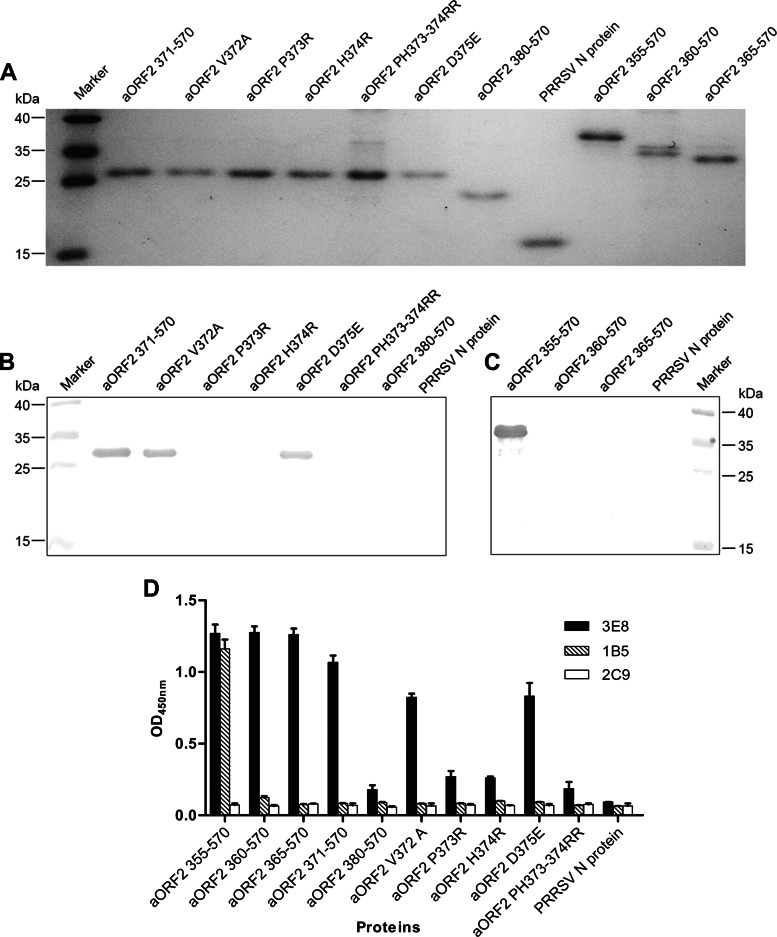 FIG 3