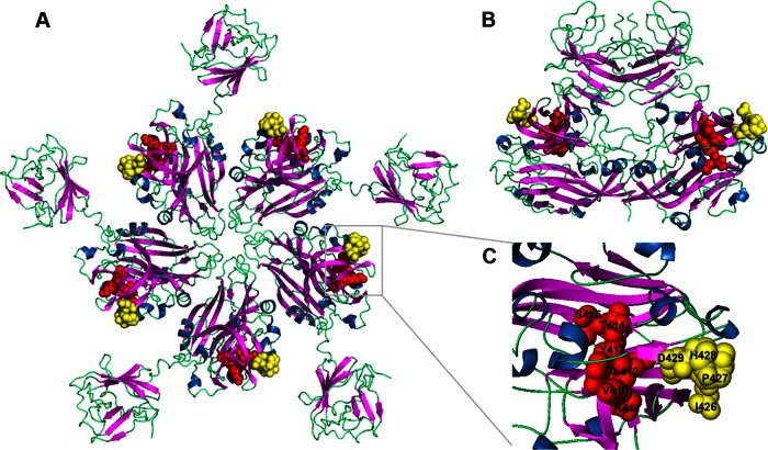 FIG 5