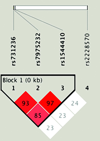 [Table/Fig-6]: