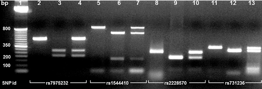 [Table/Fig-3]: